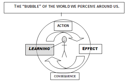 The Bubble of the World We Perceive